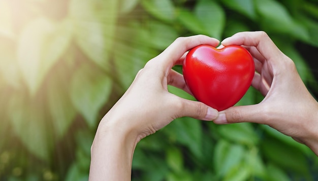 Woman hand holding red heart shape on green natural background in the garden outdoor Love Valentine