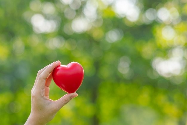 Woman hand holding red heart shape on green natural background 