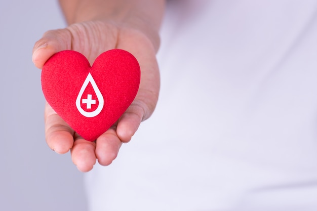 Woman hand holding red heart with blood donor sign made from white paper for blood donation concept