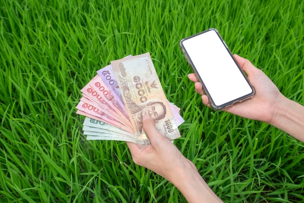 Woman hand holding Thai banknotes and smartphone blank screen with green rice wallat farm