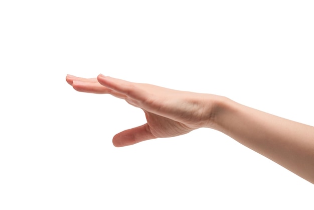 Woman hand isolated on a white background