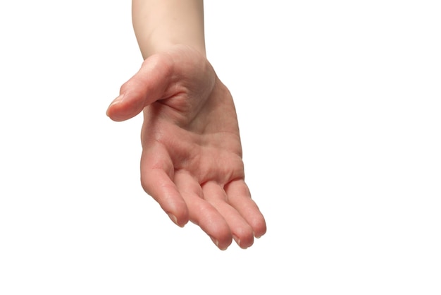 Woman hand isolated on a white background