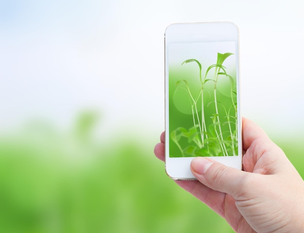 Woman hand taking picture with smart phone against spring green background