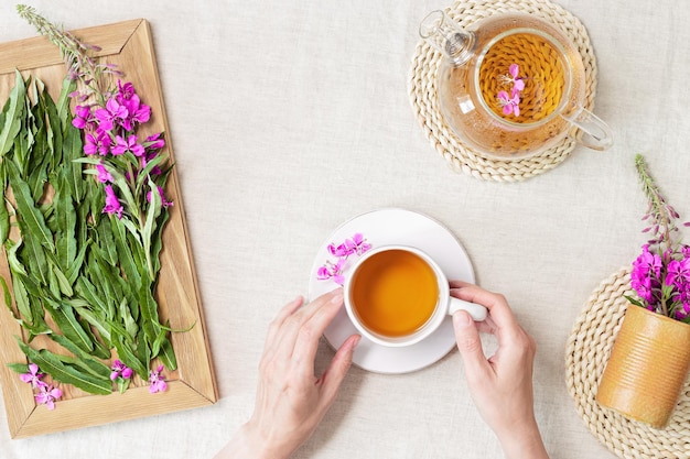 Woman hands holding Herbal tea from kipreya leaves in cups on fabric table background fireweed green