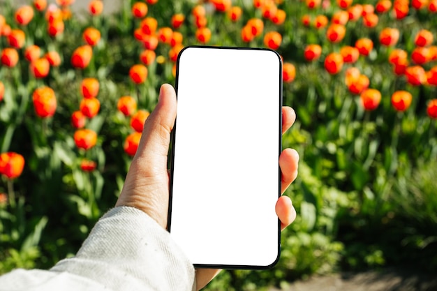 Woman hands holding and using smart phone with blurred colorful flower garden background