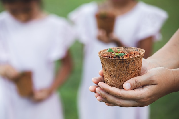 Woman hands holding young seedlings in recycle fiber pots for planting in the garden