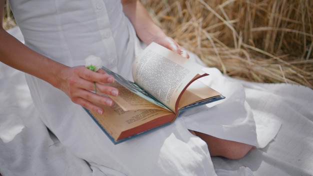 Woman hands turning book pages rye spikelets nature closeup lady putting flower