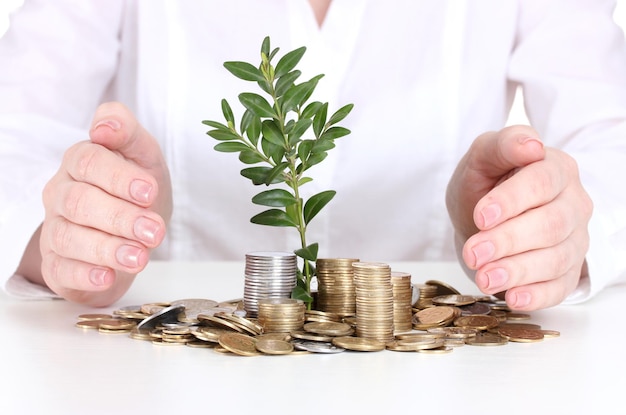 Woman hands with coins and plant