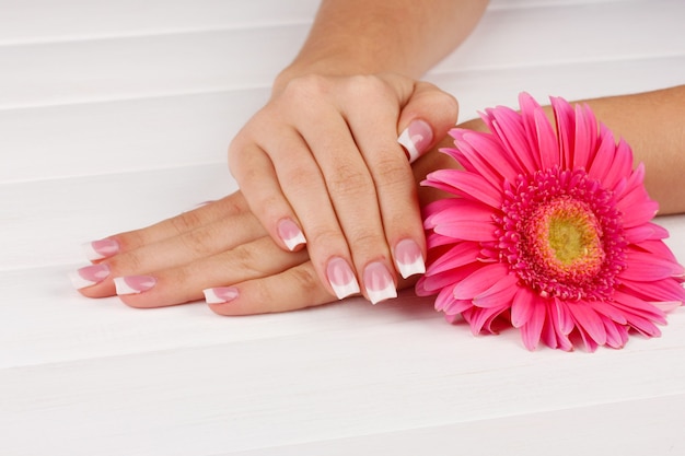 Woman hands with french manicure and flower on white wooden background