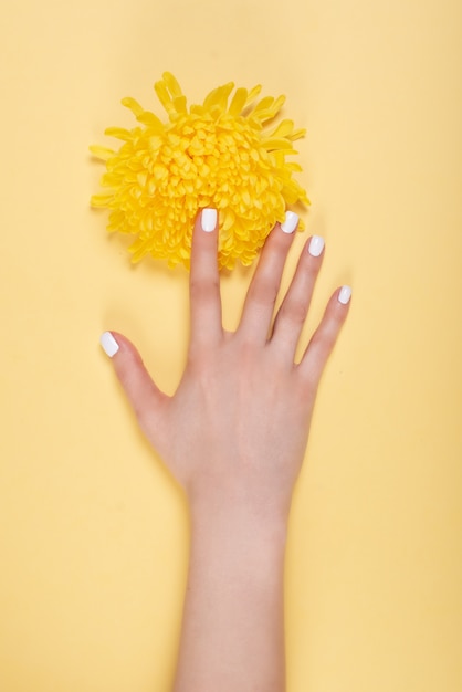 Woman hands with manicure and wedding ring among white lace and little flowers