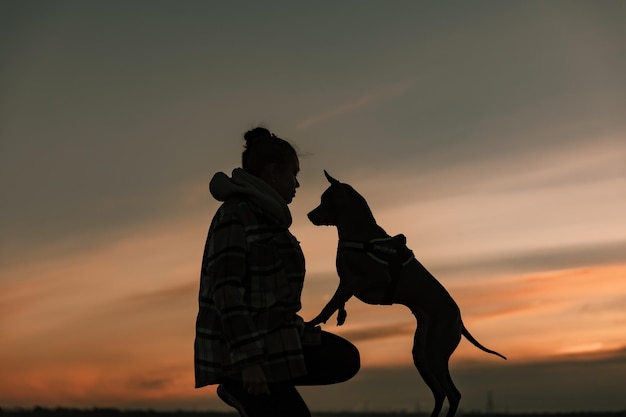 A woman and her dog playing with a sunset in the background