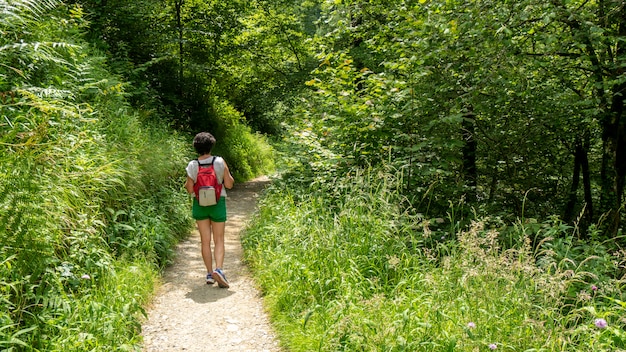 Woman hiker on  mountain trail