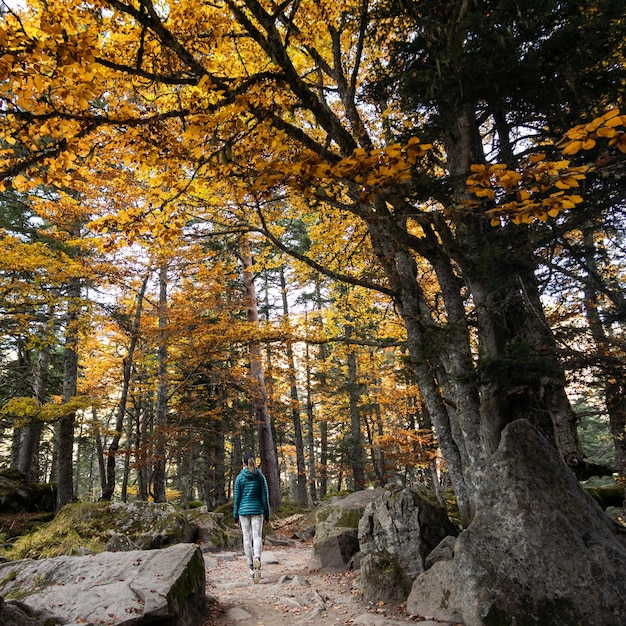 Woman on a hiking trip through the forest in autumn