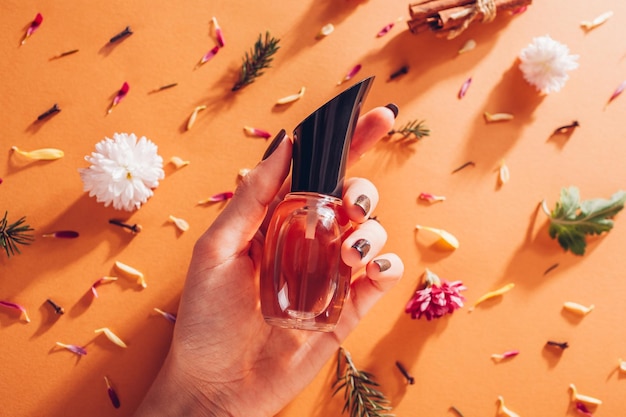 Woman holding bottle of perfume with ingredients Fragrance of flowers spices herbs and fir tree