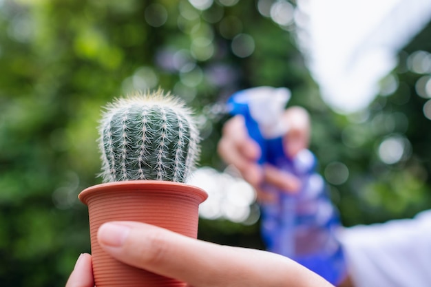 A woman holding a cactus in flowerpot and using a water bottle to watering it in the outdoors