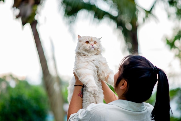 Woman holding cat playing at home with love for cats The smile glints in his bond with his fluffy pet cat The relationship of people and cats cat owners domestic cats fat cats