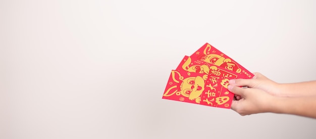 Woman holding Chinese red envelope with golden rabbit and blessing word money gift for happy Lunar New Year holiday Chinese sentence means happiness healthy Lucky and Wealthy