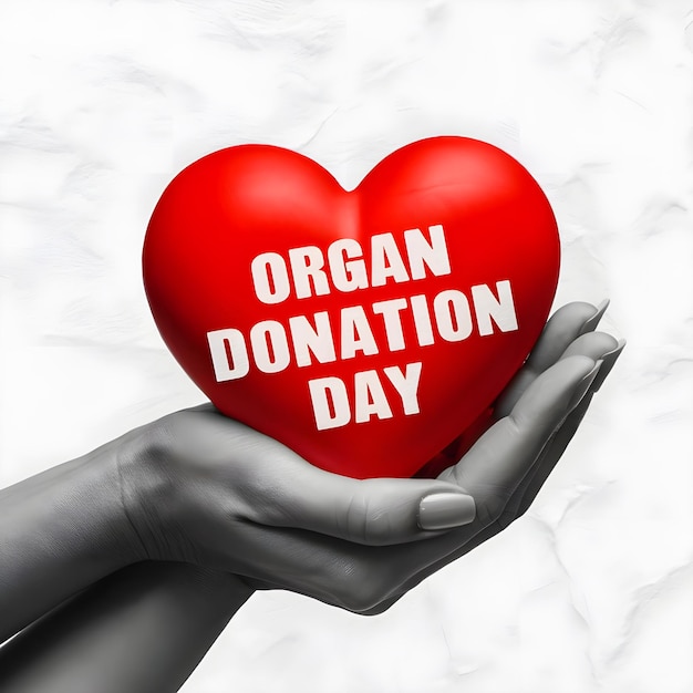 Photo a woman holding a heart that says organ day on it