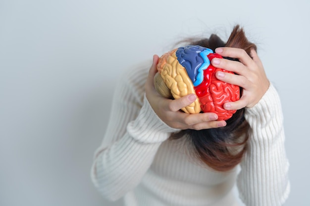 Woman holding human Brain model World Brain Tumor day Brain Stroke Dementia alzheimer parkinson and world mental health concept