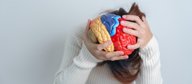 Woman holding human Brain model World Brain Tumor day Brain Stroke Dementia alzheimer parkinson and world mental health concept