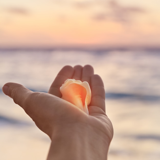 Woman Holding Small Shell in Her Hand at the Tropical Beach at Sunrise time