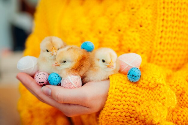 Woman holding three orange chicks in hand surrounded with Easter eggs