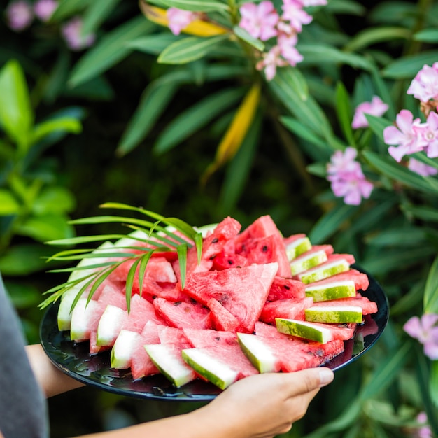 Woman holding watermelon on green background