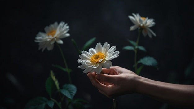 a woman holds a flower with the yellow center