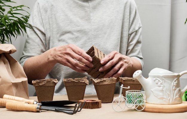 Woman at home holding paper cups for planting plants and vegetables Hobby and leisure