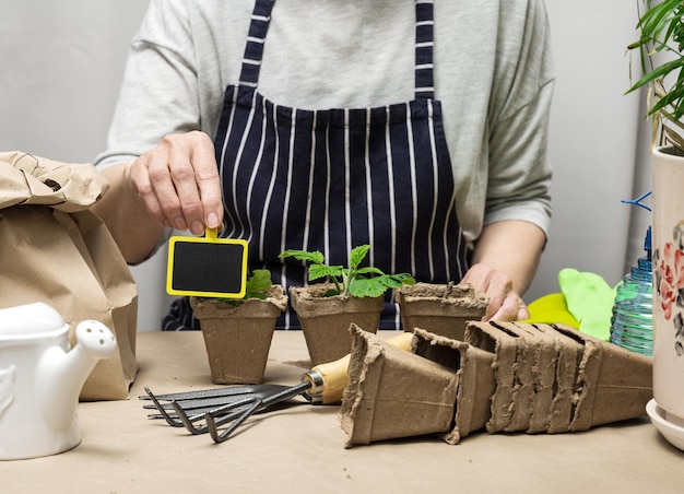 A woman at home is planting plants in a paper cup Growing vegetables at home