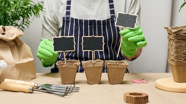 Woman at home is planting plants in a paper cup Growing vegetables at home