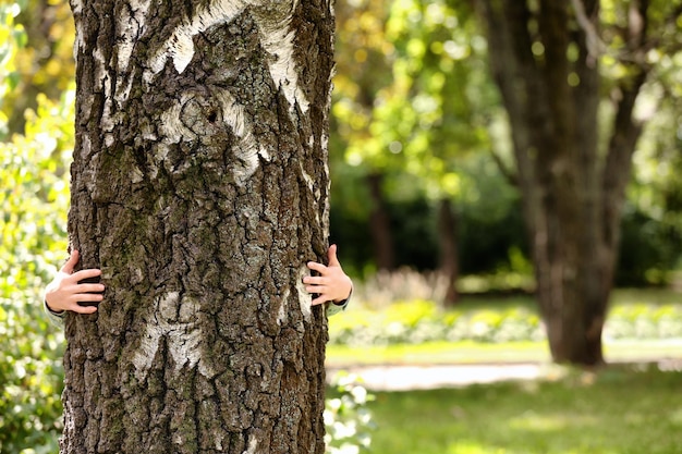 Woman hugging a big tree in a park