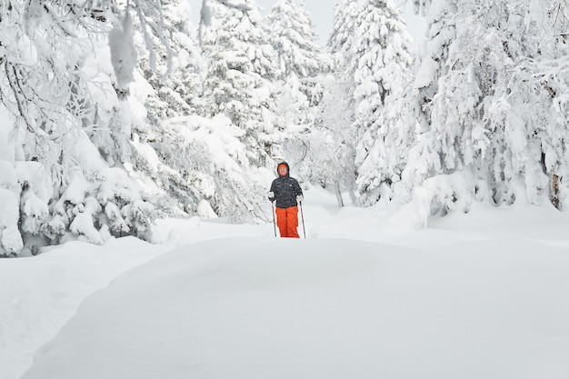 Woman is engaged in trekking in the winter forest during snowfall