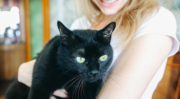 Woman is holding beautiful black cat on her hands. Home pet.