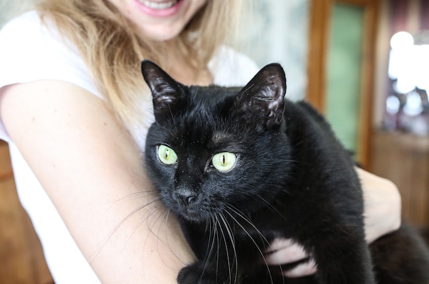 Woman is holding beautiful black cat on her hands. Home pet.