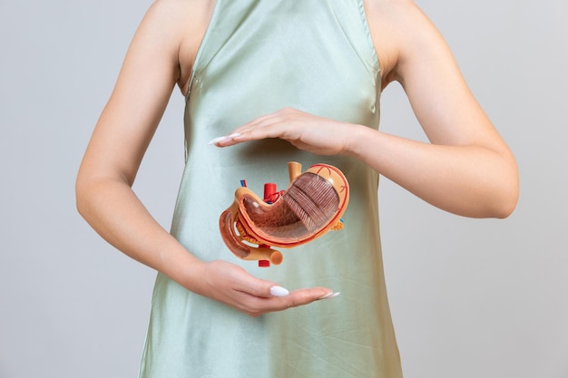 Woman is holding mock stomach in the hands Help and care concept