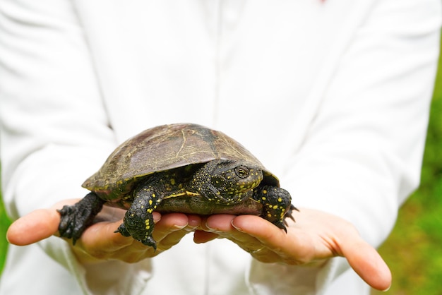 The woman is holding a small turtle in her hand Let turtle to nature for making merit