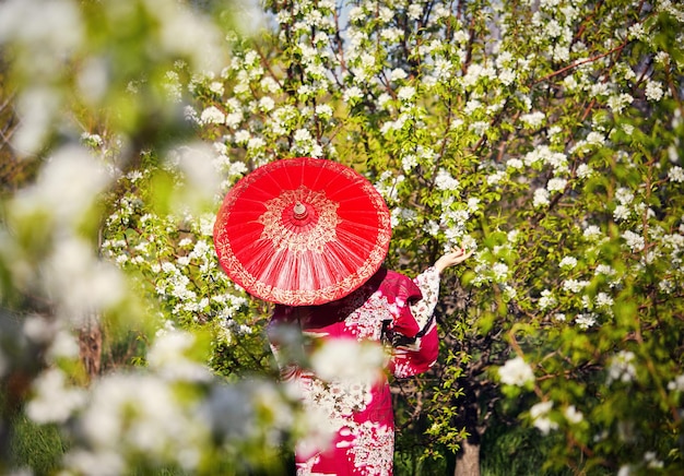 Woman in Japan costume at cherry blossom