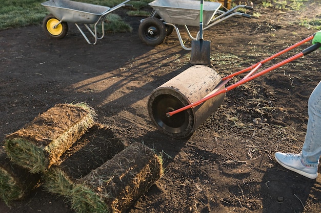 Woman laying sod for new garden lawn turf laying concept