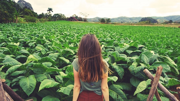 A Woman Looking At Green Tobacco Field in Cuba