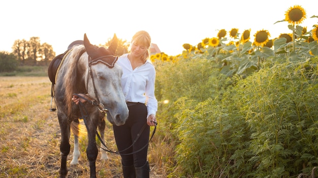 A woman loves a horse. Love and friendship for the animal, care. Beautiful field at sunset, sunflowers. Equestrian sport, training, walking, renting and selling, ammunition. Holidays outdoor, tourism