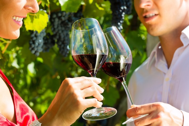 Woman and man standing at vineyard and drinking wine