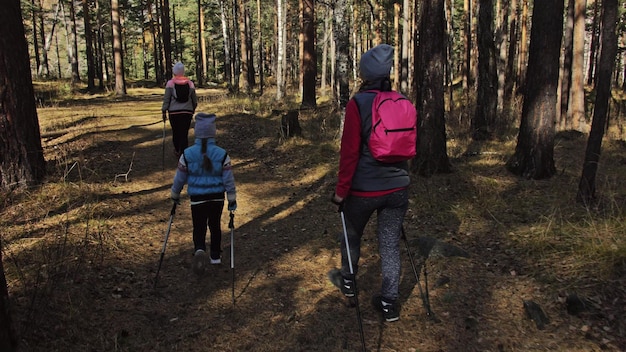 Woman do Nordic walking in nature Girls and children use trekking sticks and nordic poles backpacks Family travels and goes in for sports Autumn forest