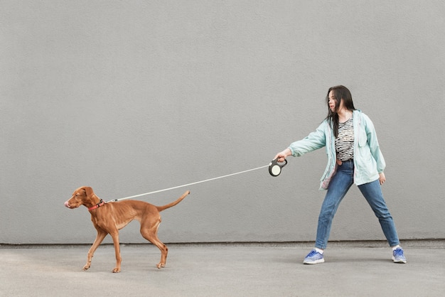 Woman owner walks a cute dog to a leash against the backdrop of a gray wall.