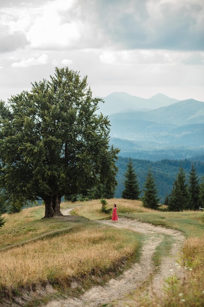 Woman on the path near old big beech tree in the mountains