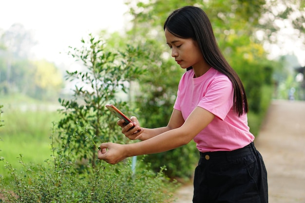 woman photographing leaves with phone