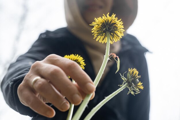 A woman picks a yellow dandelion Bottom view