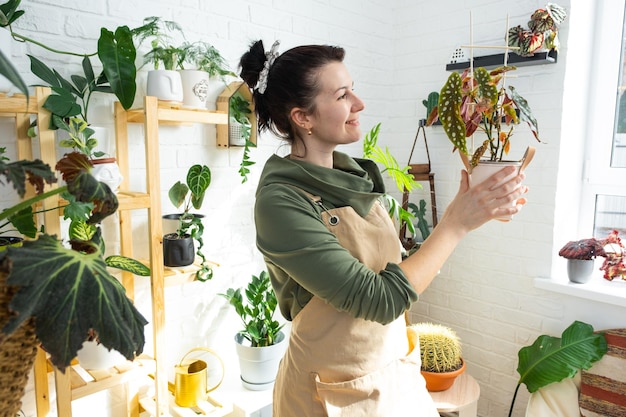 Woman plant breeder examines and admires home plants in a pot from her collection at home on the shelves Search for pests care watering fertilizers Home crop production