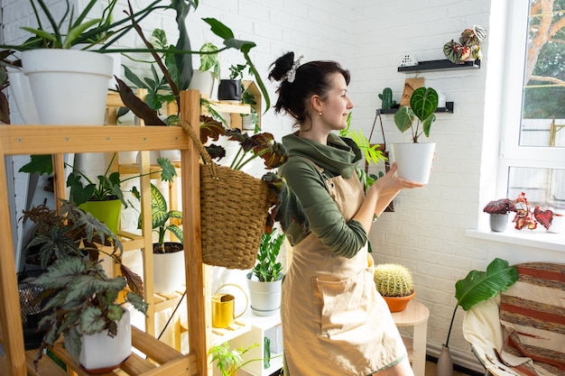 Woman plant breeder examines and admires home plants in a pot from her collection at home on the shelves Search for pests care watering fertilizers Home crop production