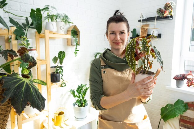 Woman plant breeder hold in hand home plants in a pot from her collection at home on the shelves Search for pests care watering fertilizers Home crop production portrait looks into frame